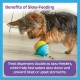 BrightKins Cactus Surprise! Treat Dispenser Treat Puzzle for Pets, Interactive Dog Toy, Treat Dispenser, Interactive Slow Feeding Game, Pack of 2