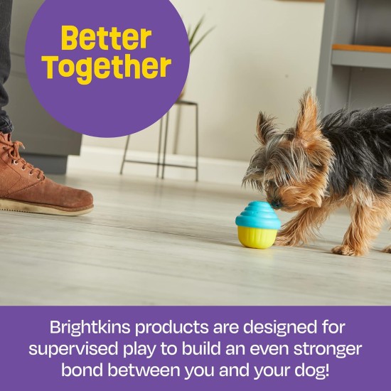 BrightKins Cactus Surprise! Treat Dispenser Treat Puzzle for Pets, Interactive Dog Toy, Treat Dispenser, Interactive Slow Feeding Game, Pack of 2 BrightKins Cactus Surprise! Treat Dispenser Treat Puzzle for Pets, Interactive Dog Toy, Treat Dispenser, Interactive Slow Feeding Game, Pack of 2