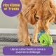 BrightKins Cactus Surprise! Treat Dispenser Treat Puzzle for Pets, Interactive Dog Toy, Treat Dispenser, Interactive Slow Feeding Game, Pack of 2