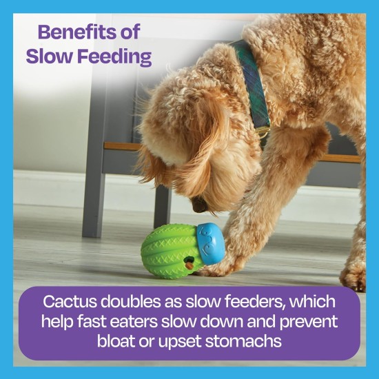 BrightKins Cactus Surprise! Treat Dispenser Treat Puzzle for Pets, Interactive Dog Toy, Treat Dispenser, Interactive Slow Feeding Game, Pack of 2 BrightKins Cactus Surprise! Treat Dispenser Treat Puzzle for Pets, Interactive Dog Toy, Treat Dispenser, Interactive Slow Feeding Game, Pack of 2