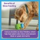 BrightKins Cactus Surprise! Treat Dispenser Treat Puzzle for Pets, Interactive Dog Toy, Treat Dispenser, Interactive Slow Feeding Game, Pack of 2