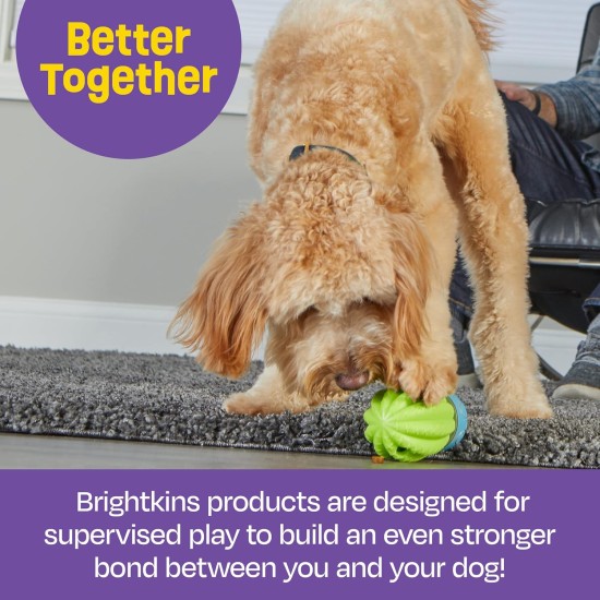 BrightKins Cactus Surprise! Treat Dispenser Treat Puzzle for Pets, Interactive Dog Toy, Treat Dispenser, Interactive Slow Feeding Game, Pack of 2 BrightKins Cactus Surprise! Treat Dispenser Treat Puzzle for Pets, Interactive Dog Toy, Treat Dispenser, Interactive Slow Feeding Game, Pack of 2