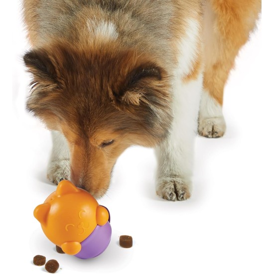 Brightkins Kitty Tea Cup Treat Dispenser, Treat Dispenser Dog, Interactive Dog Game for Boredom, Stimulating Brain Game, Dog Gifts, Dog Game for Birthday Brightkins Kitty Tea Cup Treat Dispenser, Treat Dispenser Dog, Interactive Dog Game for Boredom, Stimulating Brain Game, Dog Gifts, Dog Game for Birthday