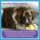 Brightkins Large Cupcake Treat Dispenser Treat Puzzle for Pets, Interactive Dog Toy, Treat Dispenser, Slow Feeding Interactive Game, Dog Toy for Medium Dogs, Pack of 2 Brightkins Large Cupcake Treat Dispenser Treat Puzzle for Pets, Interactive Dog Toy, Treat Dispenser, Slow Feeding Interactive Game, Dog Toy for Medium Dogs, Pack of 2