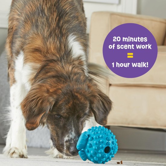 Brightkins Treat Ball Large Puffer Fish, Treat Dispenser Dog Game for Large Dogs, Interactive Dog Game for Boredom, Stimulating Brain Game, Dog Gifts, Dog Game for Birthday Brightkins Treat Ball Large Puffer Fish, Treat Dispenser Dog Game for Large Dogs, Interactive Dog Game for Boredom, Stimulating Brain Game, Dog Gifts, Dog Game for Birthday