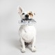 CERDÁ LIFE'S LITTLE MOMENTS - for Fan Pets | Star Wars Dog Toy Cuddly Toy - Official Star Wars Licence, Stormtrooper CERDÁ LIFE'S LITTLE MOMENTS - for Fan Pets | Star Wars Dog Toy Cuddly Toy - Official Star Wars Licence, Stormtrooper