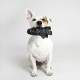 CERDÁ LIFE'S LITTLE MOMENTS - for Fan Pets | Star Wars Dog Toy Cuddly Toy - Official Star Wars Licence, Stormtrooper CERDÁ LIFE'S LITTLE MOMENTS - for Fan Pets | Star Wars Dog Toy Cuddly Toy - Official Star Wars Licence, Stormtrooper