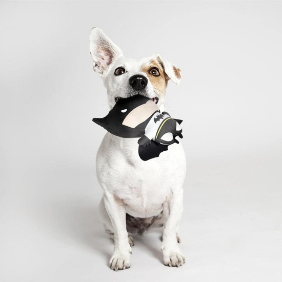 CERDÁ LIFE'S LITTLE MOMENTS - for Fan Pets Batman Dog Toy - Official DC Comics Licence Multi-Coloured CERDÁ LIFE'S LITTLE MOMENTS - for Fan Pets Batman Dog Toy - Official DC Comics Licence Multi-Coloured