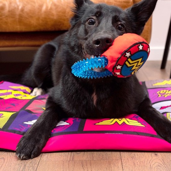 CERDÁ LIFE'S LITTLE MOMENTS - for Fan Pets Batman Dog Toy - Official DC Comics Licence Multi-Coloured CERDÁ LIFE'S LITTLE MOMENTS - for Fan Pets Batman Dog Toy - Official DC Comics Licence Multi-Coloured