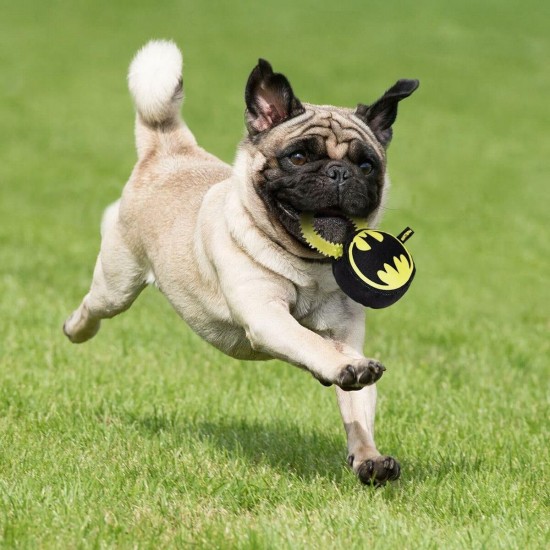 CERDÁ LIFE'S LITTLE MOMENTS - for Fan Pets Batman Dog Toy - Official DC Comics Licence Multi-Coloured CERDÁ LIFE'S LITTLE MOMENTS - for Fan Pets Batman Dog Toy - Official DC Comics Licence Multi-Coloured