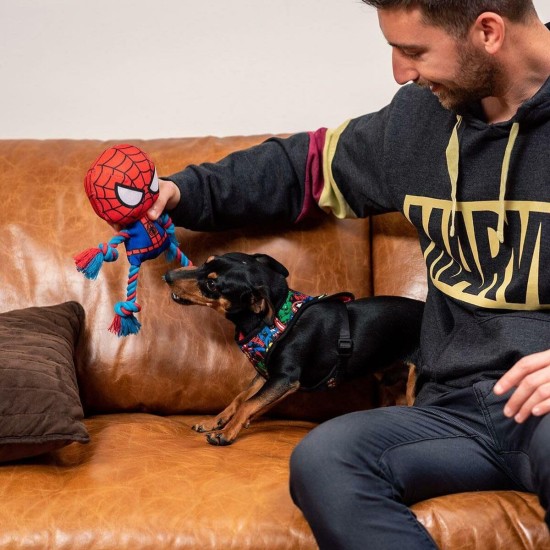 CERDÁ LIFE'S LITTLE MOMENTS - for Fan Pets Spiderman Dog Toy, Cuddly Toy for Dogs with Rope - Official Marvel Licence, 1 Piece (Pack of 1) CERDÁ LIFE'S LITTLE MOMENTS - for Fan Pets Spiderman Dog Toy, Cuddly Toy for Dogs with Rope - Official Marvel Licence, 1 Piece (Pack of 1)