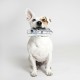 CERDÁ LIFE'S LITTLE MOMENTS - for Fan Pets Spiderman Dog Toy, Cuddly Toy for Dogs with Rope - Official Marvel Licence, 1 Piece (Pack of 1) CERDÁ LIFE'S LITTLE MOMENTS - for Fan Pets Spiderman Dog Toy, Cuddly Toy for Dogs with Rope - Official Marvel Licence, 1 Piece (Pack of 1)