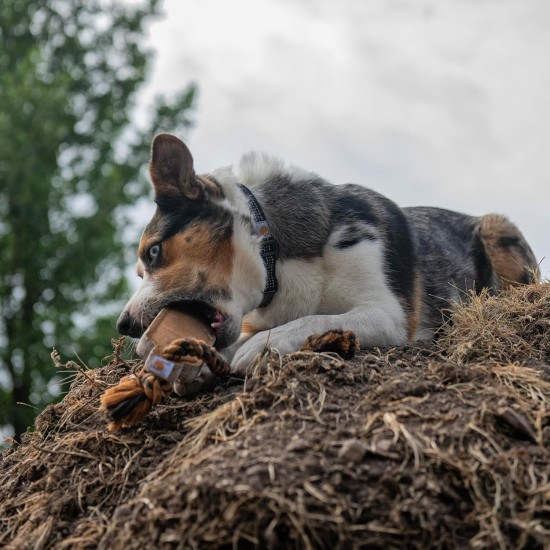 Carhartt Pet Toys Heavy Duty Pull and Fetch Rope Bone Chew Toy Carhartt Pet Toys Heavy Duty Pull and Fetch Rope Bone Chew Toy