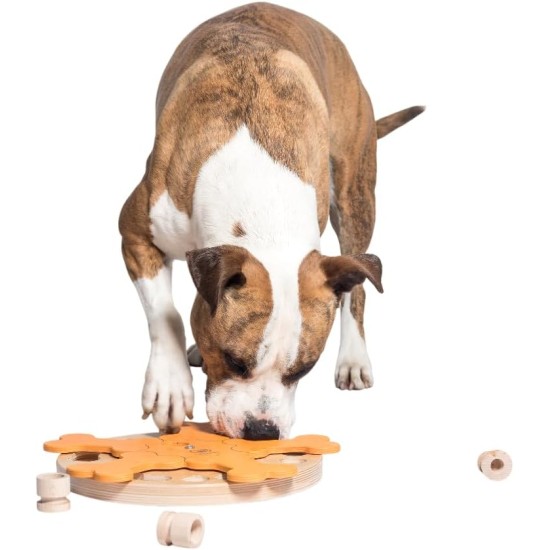 Carousel of Bones - My Intelligent Dogs Interaktives Hundespielzeug aus Holz Intelligentes Spielzeug für Hunde Carousel of Bones - My Intelligent Dogs Interaktives Hundespielzeug aus Holz Intelligentes Spielzeug für Hunde