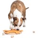 Carousel of Bones - My Intelligent Dogs Interaktives Hundespielzeug aus Holz Intelligentes Spielzeug für Hunde Carousel of Bones - My Intelligent Dogs Interaktives Hundespielzeug aus Holz Intelligentes Spielzeug für Hunde