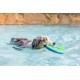 ChuckIt! Amphibious Flying Ring Asst Colors ChuckIt! Amphibious Flying Ring Asst Colors