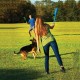 Chuckit! - Classic 26M ball launcher - Ball launcher for dogs - Ergonomic rubber handle - Soft, durable plastic launcher - Compatible with medium ball - Length 66 cm Chuckit! - Classic 26M ball launcher - Ball launcher for dogs - Ergonomic rubber handle - Soft, durable plastic launcher - Compatible with medium ball - Length 66 cm