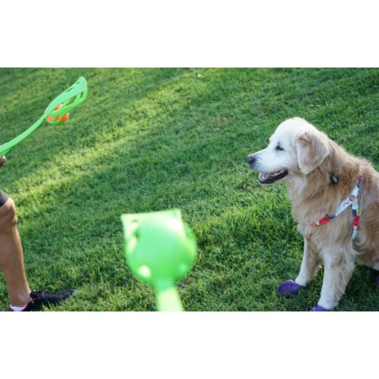 Chuckit! - Classic 26M ball launcher - Ball launcher for dogs - Ergonomic rubber handle - Soft, durable plastic launcher - Compatible with medium ball - Length 66 cm Chuckit! - Classic 26M ball launcher - Ball launcher for dogs - Ergonomic rubber handle - Soft, durable plastic launcher - Compatible with medium ball - Length 66 cm
