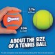 Chuckit 7404 Tennis Ball Medium - 4 Pieces Chuckit 7404 Tennis Ball Medium - 4 Pieces