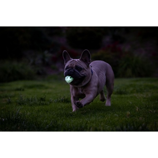Chuckit! Air Glow Ball - Phosphorescent Toy for Dogs - Recovery Ball for - Makes Air Circulation Easier for Dogs - Medium Size - Diameter 6.5cm - Pack of 2 Balls Chuckit! Air Glow Ball - Phosphorescent Toy for Dogs - Recovery Ball for - Makes Air Circulation Easier for Dogs - Medium Size - Diameter 6.5cm - Pack of 2 Balls