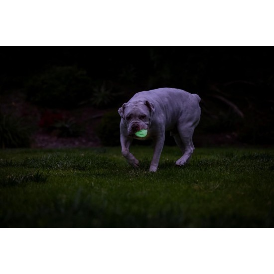 Chuckit! Air Glow Ball - Phosphorescent Toy for Dogs - Recovery Ball for - Makes Air Circulation Easier for Dogs - Medium Size - Diameter 6.5cm - Pack of 2 Balls Chuckit! Air Glow Ball - Phosphorescent Toy for Dogs - Recovery Ball for - Makes Air Circulation Easier for Dogs - Medium Size - Diameter 6.5cm - Pack of 2 Balls