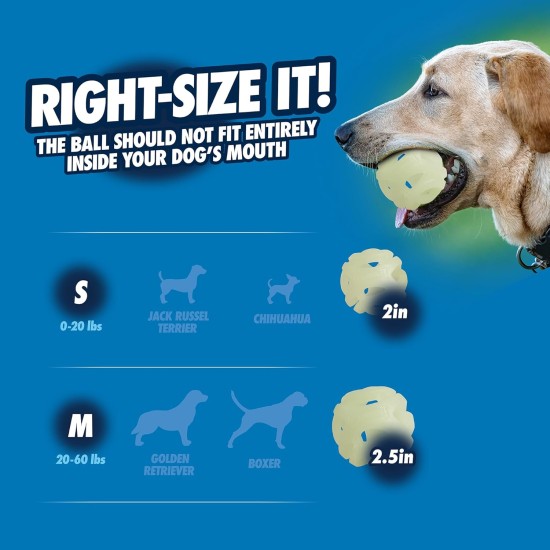 Chuckit! Air Glow Ball - Phosphorescent Toy for Dogs - Recovery Ball for - Makes Air Circulation Easier for Dogs - Medium Size - Diameter 6.5cm - Pack of 2 Balls Chuckit! Air Glow Ball - Phosphorescent Toy for Dogs - Recovery Ball for - Makes Air Circulation Easier for Dogs - Medium Size - Diameter 6.5cm - Pack of 2 Balls