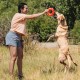 Chuckit! Breathe Right Fetch Wheel Chuckit! Breathe Right Fetch Wheel