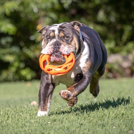 Chuckit! Breathe Right Fetch Wheel Chuckit! Breathe Right Fetch Wheel