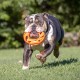Chuckit! Breathe Right Fetch Wheel Chuckit! Breathe Right Fetch Wheel