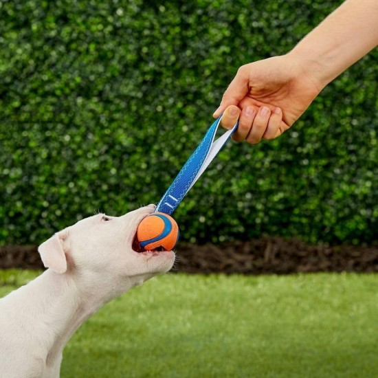 Chuckit! CH231301 Ultra Tug Large Chuckit! CH231301 Ultra Tug Large