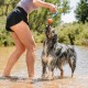 Chuckit! CH232201 Ultra Duo Tug Medium Chuckit! CH232201 Ultra Duo Tug Medium