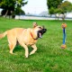 Chuckit! CH232201 Ultra Duo Tug Medium Chuckit! CH232201 Ultra Duo Tug Medium