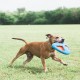 Chuckit! CH32221 Fetch Flight Flyer Chuckit! CH32221 Fetch Flight Flyer