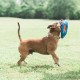 Chuckit! CH32221 Fetch Flight Flyer Chuckit! CH32221 Fetch Flight Flyer