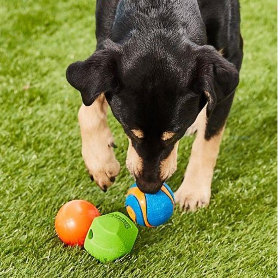 Chuckit! Fetch Medley 2 Pet Toy Balls, Medium Chuckit! Fetch Medley 2 Pet Toy Balls, Medium