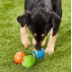 Chuckit! Fetch Medley 2 Pet Toy Balls, Medium