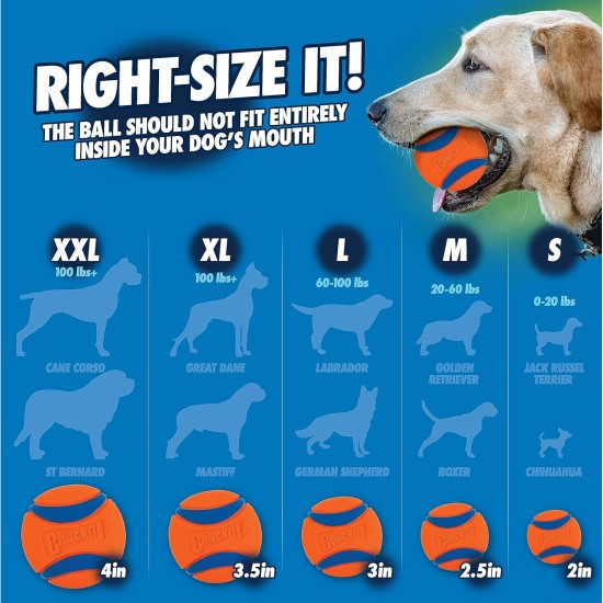 Chuckit! Fetch Pack - Chuck It Dog Ball Launcher 18 m, Tennis Ball, Ultra Rubber Ball and Ultra Fetch Stick Dog Gifts, Dog Toys Indestructible Dog Ball Thrower Launcher Chuckit! Fetch Pack - Chuck It Dog Ball Launcher 18 m, Tennis Ball, Ultra Rubber Ball and Ultra Fetch Stick Dog Gifts, Dog Toys Indestructible Dog Ball Thrower Launcher