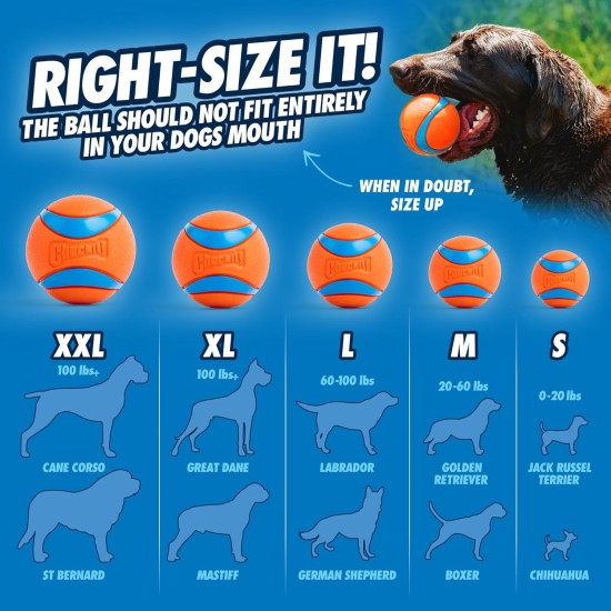 Chuckit! Fetch Pack - Chuck It Dog Ball Launcher 18 m, Tennis Ball, Ultra Rubber Ball and Ultra Fetch Stick Dog Gifts, Dog Toys Indestructible Dog Ball Thrower Launcher Chuckit! Fetch Pack - Chuck It Dog Ball Launcher 18 m, Tennis Ball, Ultra Rubber Ball and Ultra Fetch Stick Dog Gifts, Dog Toys Indestructible Dog Ball Thrower Launcher