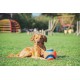 Chuckit! Kick Fetch Dog Toy, 19 cm, Large Chuckit! Kick Fetch Dog Toy, 19 cm, Large