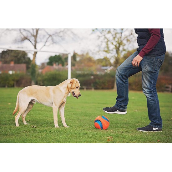 Chuckit! Kick Fetch Dog Toy, 19 cm, Large Chuckit! Kick Fetch Dog Toy, 19 cm, Large