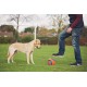 Chuckit! Kick Fetch Dog Toy, 19 cm, Large Chuckit! Kick Fetch Dog Toy, 19 cm, Large