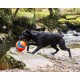 Chuckit! Kick Fetch Dog Toy, 19 cm, Large Chuckit! Kick Fetch Dog Toy, 19 cm, Large