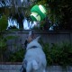 Chuckit! Kick Fetch Dog Toy, 19 cm, Large Chuckit! Kick Fetch Dog Toy, 19 cm, Large