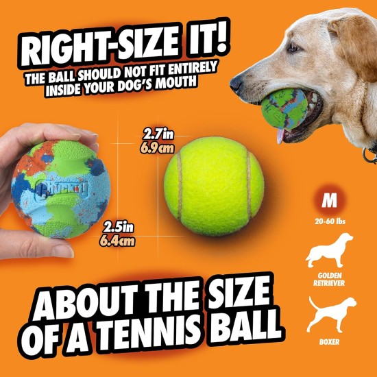 Chuckit! Limited Edition Dog Ball Eco Fetch Day Ball Ultra Ball Eco Friendly Toy for Dogs - Medium, 1 Pack Chuckit! Limited Edition Dog Ball Eco Fetch Day Ball Ultra Ball Eco Friendly Toy for Dogs - Medium, 1 Pack