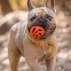 Chuckit! Small Durable Breathe Right Dog Ball Chuckit! Small Durable Breathe Right Dog Ball