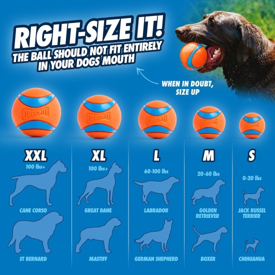 Chuckit! Ultra Ball Dog Toy Ball Durable Rubber High Bounce Floating Chuck It Launcher Compatible Toy Balls for Dogs 3 Pack Medium Chuckit! Ultra Ball Dog Toy Ball Durable Rubber High Bounce Floating Chuck It Launcher Compatible Toy Balls for Dogs 3 Pack Medium