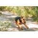 Chuckit! Ultra Squeaker Ball for Dogs Chuckit! Ultra Squeaker Ball for Dogs