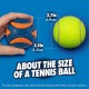 Chuckit! Ultra Squeaker Ball for Dogs Chuckit! Ultra Squeaker Ball for Dogs
