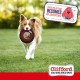 Clifford® Flying Disc Frisbee Dog Toy, Durable Dog Frisbee for Aggressive Chewers, Quality, Strong Rubber Frisbee for Dogs for Fetch, Throwing and Tugging Clifford® Flying Disc Frisbee Dog Toy, Durable Dog Frisbee for Aggressive Chewers, Quality, Strong Rubber Frisbee for Dogs for Fetch, Throwing and Tugging