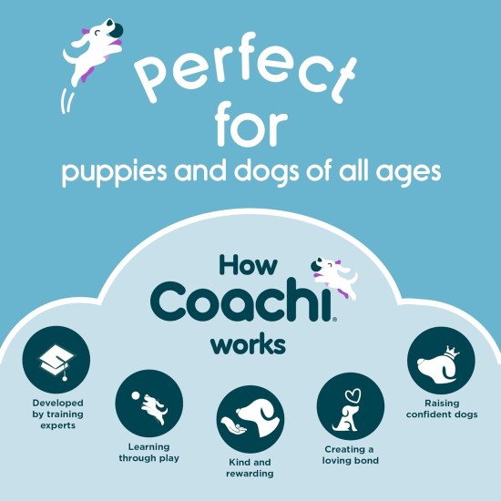 Coachi Chase & Treat, Ideal for Hunting & Playing, Agility & Distance Training, Promotes Interaction, Good for Motivation, Distance Reward Training & Promotes Fetch. For Dogs and Puppies Coachi Chase & Treat, Ideal for Hunting & Playing, Agility & Distance Training, Promotes Interaction, Good for Motivation, Distance Reward Training & Promotes Fetch. For Dogs and Puppies
